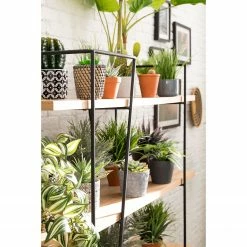 Studio Copenhagen Regal Anadyr - Schwarz / Esche -BÜROMÖBEL Verkaufsgeschäft 1000007393 181114 11415201 GALLERYIMAGES P000000001000007393