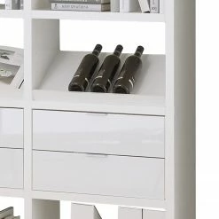 Fredriks Regal Concept IX - Hochglanz Weiß -BÜROMÖBEL Verkaufsgeschäft 1000036365 210722 11222900018 DETAILS P000000001000036365