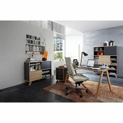 Germania Sideboard Svene - Anthrazit / Eiche Sonoma Dekor - Breite: 120 cm -BÜROMÖBEL Verkaufsgeschäft 1000166773 190329 13033300155 MOOD GALLERYIMAGES P000000001000166773 mood