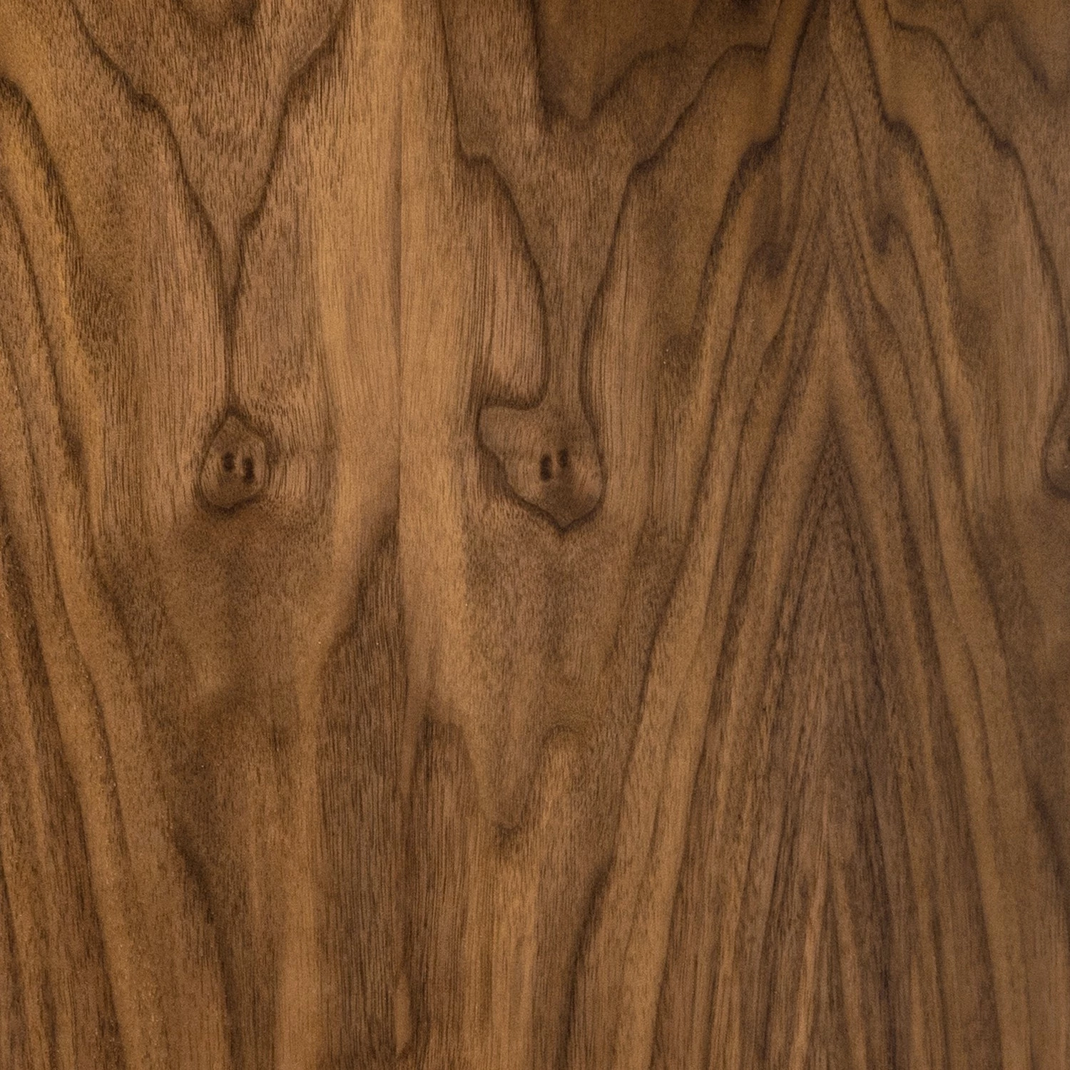 Temahome Regal Berlin - Walnuss - 70 x 198 cm 12 Temahome Regal Berlin - Walnuss - 70 x 198 cm – Bild 10