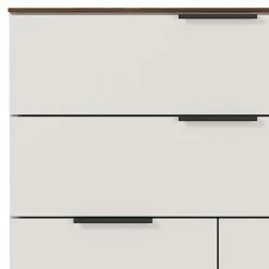 Germania Aktenschrank Ancona II - Kaschmir / Nussbaum Dekor -BÜROMÖBEL Verkaufsgeschäft 1000196990 191203 06445800037 DETAILS P000000001000196990