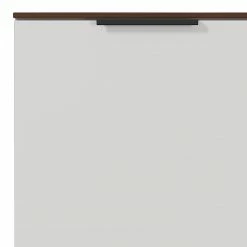 Germania Aktenschrank Ancona I - Kaschmir / Nussbaum Dekor -BÜROMÖBEL Verkaufsgeschäft 1000197012 191203 06450000116 DETAILS P000000001000197012