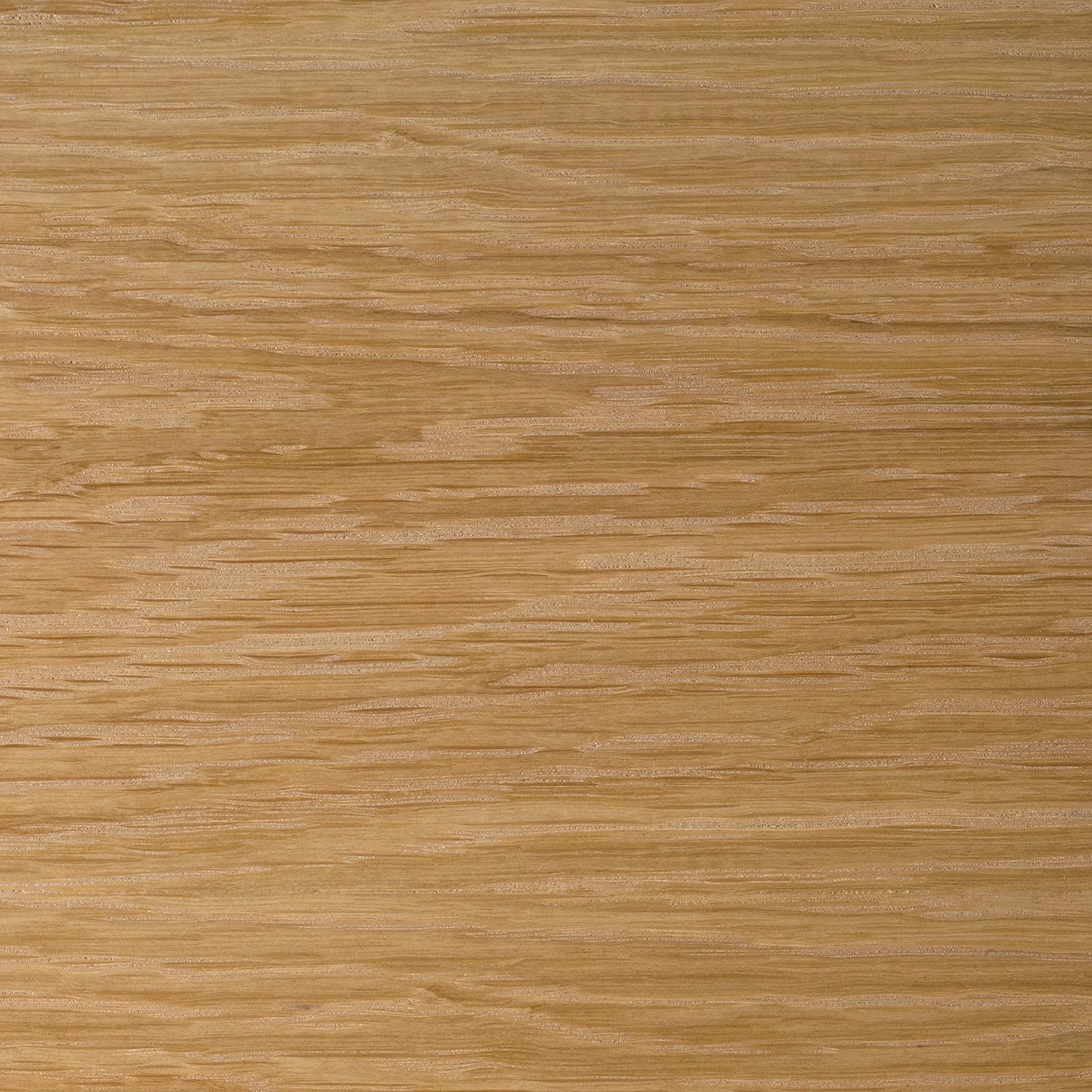 Studio Copenhagen Sideboard Danica - Echtholzfurnier - Matt Dunkelgrau / Esche 14 Studio Copenhagen Sideboard Danica - Echtholzfurnier - Matt Dunkelgrau / Esche – Bild 12