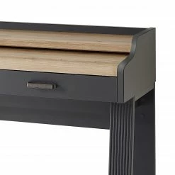 Ridgevalley Sekretär Jasmund - Graphit -BÜROMÖBEL Verkaufsgeschäft 1000245000 210504 06305900075 DETAILS P000000001000245000