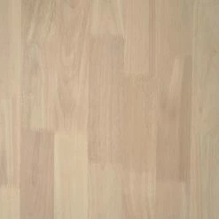 Mørteens Schreibtisch Chassy - Esche Furnier / Gummibaum massiv - Kernesche -BÜROMÖBEL Verkaufsgeschäft 1000274887 210623 13373500014 DETAILS P000000001000274887