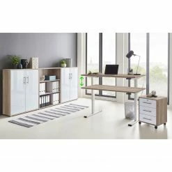 Furnitive Schreibtisch Avin II - (Höhenverstellbar) - Eiche Sonoma Dekor - Weiß -BÜROMÖBEL Verkaufsgeschäft 1000297107 211008 13250600058 MOOD DETAILS P000000001000297107 mood